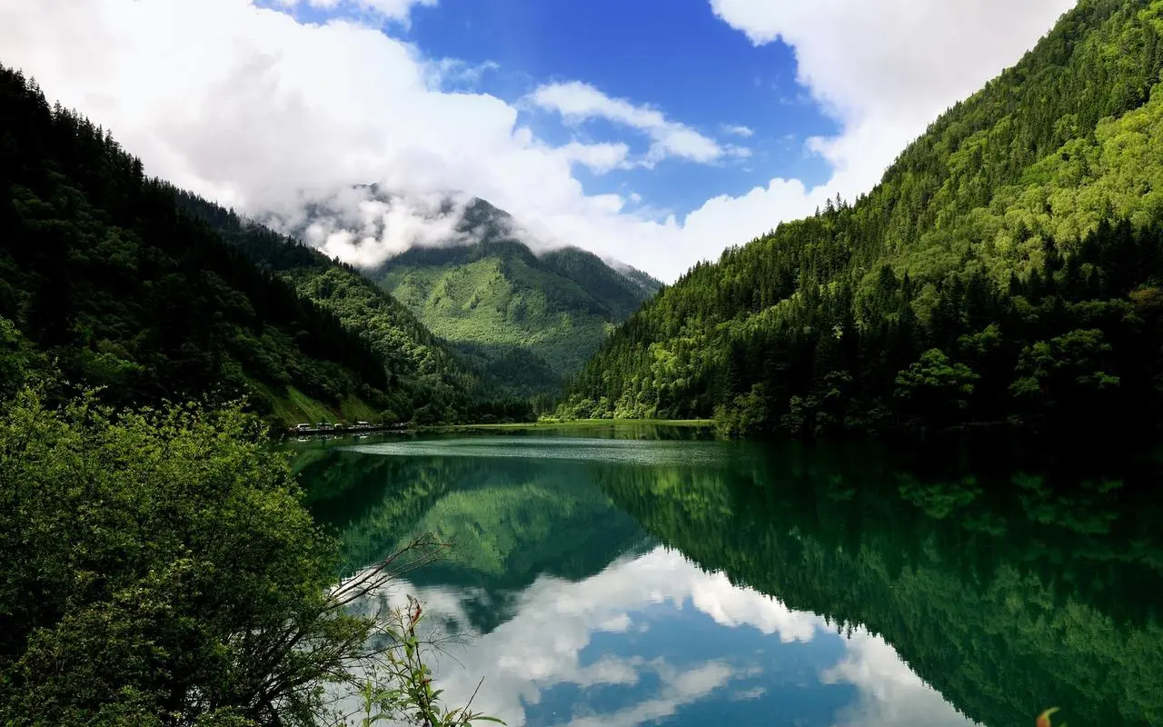 电流高的原因是什么
